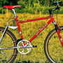 Team FSR DH FB.jpg?VersionId=7